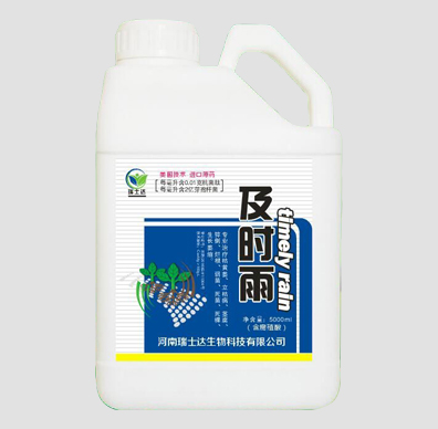 川渝地区及时雨